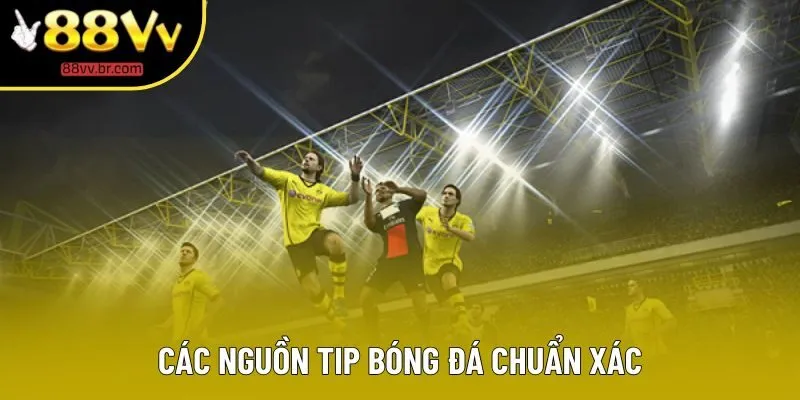 Các nguồn tip bóng đá chuẩn xác Các nguồn tip bóng đá chuẩn xác