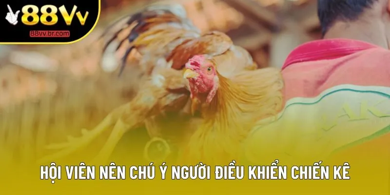 Hội viên nên chú ý người điều khiển chiến kê Hội viên nên chú ý người điều khiển chiến kê