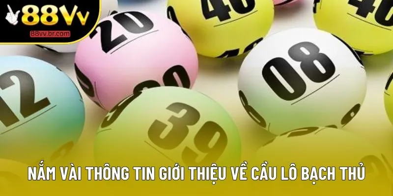 Nắm vài thông tin giới thiệu về cầu lô bạch thủ Nắm vài thông tin giới thiệu về cầu lô bạch thủ